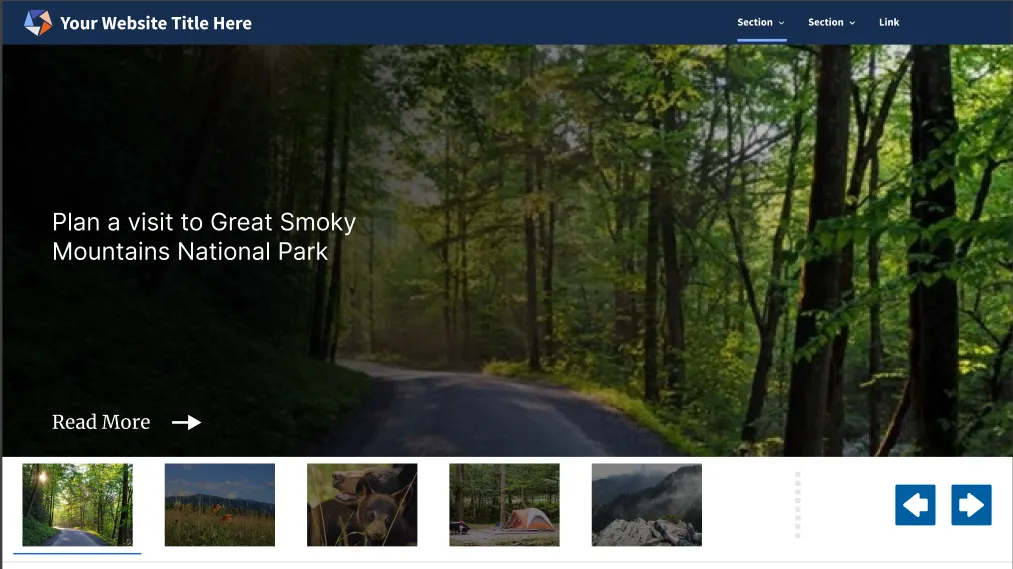 Branch-neutral prototype homepage using synthetic national park content