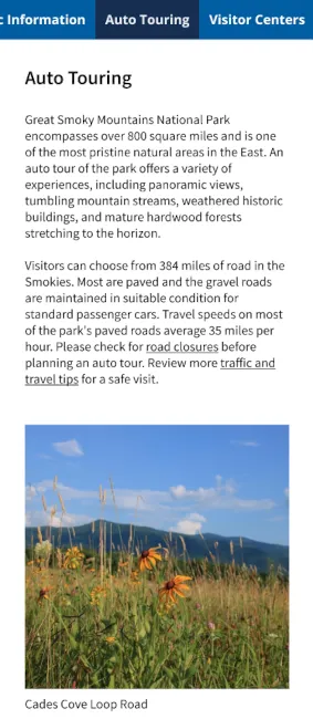 Selected horizontal-scrolling mobile tab pattern